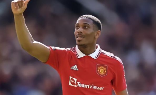 迷为之倾倒 迷为之倾倒